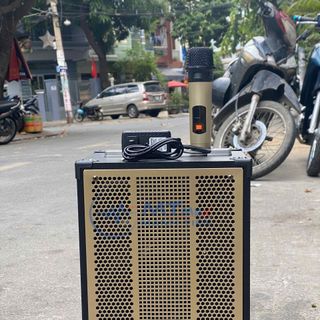 Loa Karaoke Di Động AT T9, Bass 20, Tặng 2 Micro