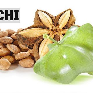 Hạt Sachi sấy thơm ngon giá sỉ tại Tuk Green