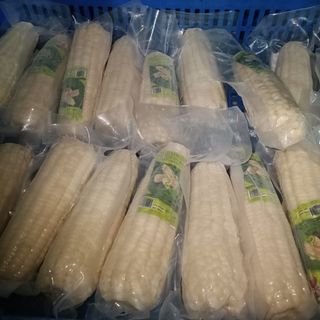 Bắp nếp đông lạnh