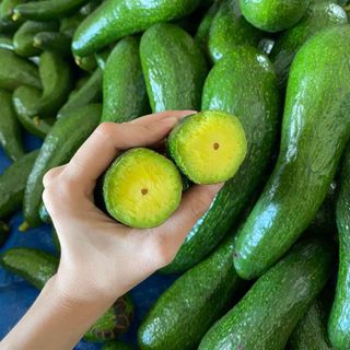 BƠ 034 ĐẮK NÔNG
