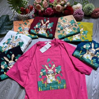 Áo thun nữ cổ tròn tay lỡ form rộng thời trang vải thun cotton khô loại 1 dày dặn dễ thương xịn sò giá gốc tận xưởng hàng sẵn số lượng lớn