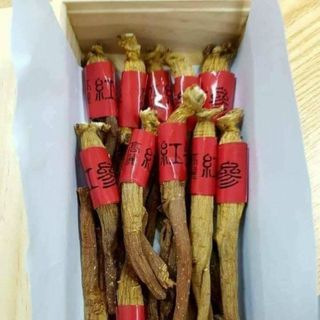 Thiên sâm khô hộp thiếc Hàn Quốc 300g