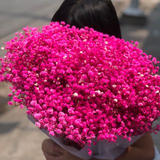 hoa babi khô