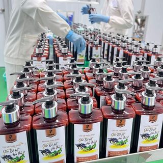 Dầu Gội Dược liệu Cao Bồ Kêt-Hà Thủ Ô