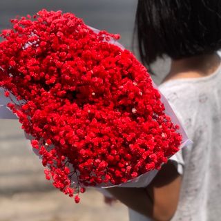 hoa babi khô