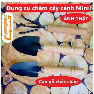 Bộ 03 Dụng cụ làm vườn mini cán gỗ (Xẻng + Bay + Cào đất) dùng đa năng trồng rau trồng hoa chăm cây cảnh tiện lợi