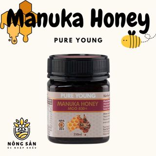 Mật ong Manuka Pure Young (MGO 830+) nhập khẩu ÚC 250gr giá sỉ