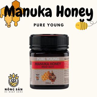 Mật ong Manuka Pure Young (MGO 263+) nhập khẩu ÚC 250gr giá sỉ