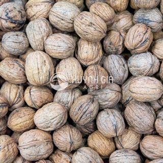 Hạt óc chó nguyên vỏ
