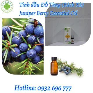 Tinh Dầu Đỗ Tùng (Bách Xù) - Juniper Berry essential oil - 50ml giá sỉ