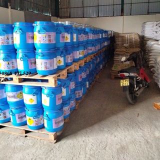 Thuốc tím Ấn Độ thùng 25kg Organic