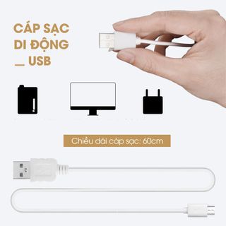 Máy phun sương, máy phun sương kèm đèn ngủ Cwell dung tích 2L