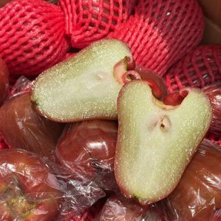 MẬN AN PHƯỚC XUẤT KHẨU