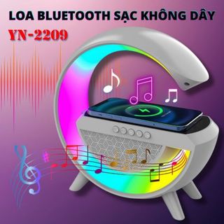 LOA KIÊM SẠC KO DÂY 3IN1 YN-2209. ĐÈN NHÁY THEO NHẠC