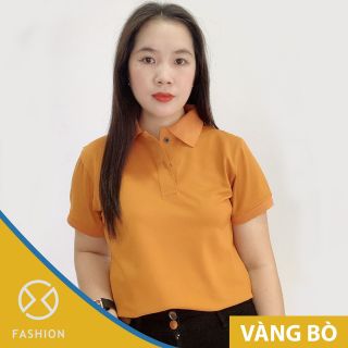 ÁO POLO NỮ NHIỀU MÀU