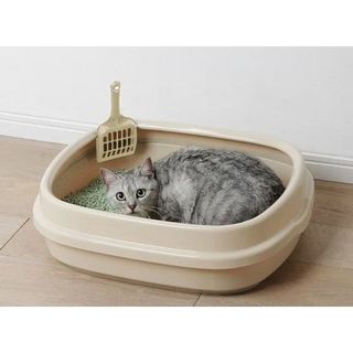 Cát vệ sinh cho mèo Nhật Bản Aiko Cat Litter 4kg