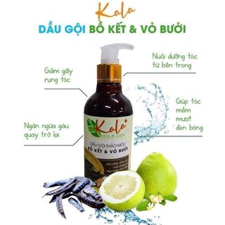 Dầu gội thảo mộc Kala 300ml chiết xuất từ bồ kết và vỏ bưởi