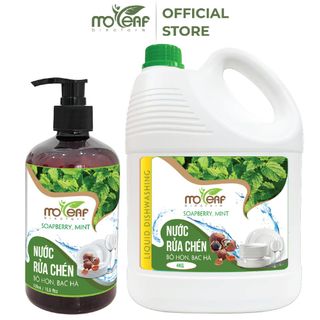 Nước Rửa Chén Bồ Hòn Bạc Hà Moleaf 4KG - Lên Men Tự Nhiên Từ Dứa Và Bồ Hòn An Toàn Cho Da Tay Và Diệt Khuẩn giá sỉ