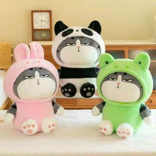 Gấu bông mèo miniso xịn