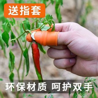 DỤNG CỤ BẢO VỆ MÓNG BÀNG SILICON