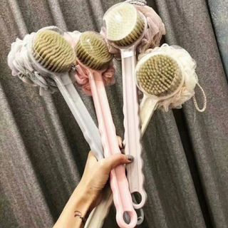 CÂY CỌ LƯNG NHẬT CÓ HỘP