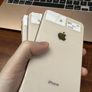 iPhone 8 Plus 64GB vàng đẹp 99% pin tốt giá sỉ
