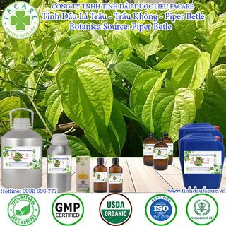 Tinh dầu Lá Trầu Không Piper Betel Leaf essential oil giúp chống viêm nhiễm - 50ml