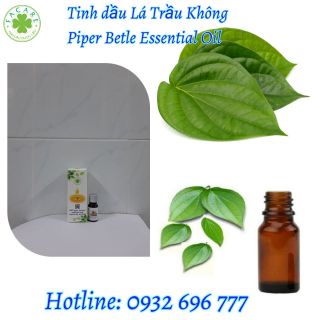 Tinh dầu Lá Trầu Không Piper Betel Leaf essential oil giúp chống viêm nhiễm - 50ml
