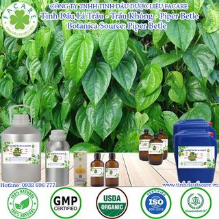 Tinh dầu Lá Trầu Không Piper Betel Leaf essential oil giúp chống viêm nhiễm - 50ml