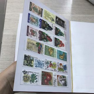 Album 500 con tem Việt Nam, kích thước: 250mm x 170mm x 25mm - AB000006