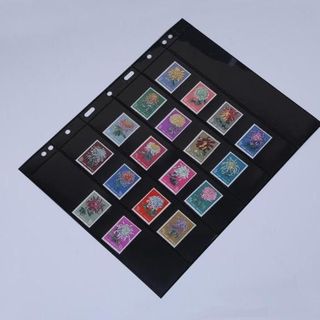 Phơi 6 ngăn đen, kích thước: 215mm x 280mm - P000010