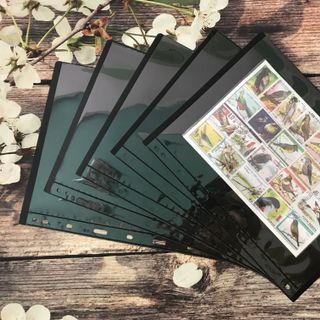 Phơi 1 ngăn đen, kích thước: 215mm x 280mm - P000005