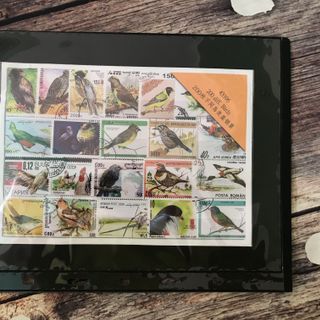 Phơi 1 ngăn đen, kích thước: 215mm x 280mm - P000005