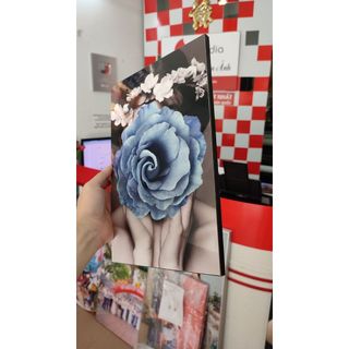 Ảnh Cô Gái hoa hồng, Gỗ Tráng Gương trang trí spa