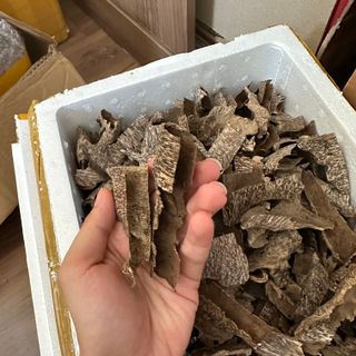 Trầm khoan ổ đẹp dầu đậm_ Trầm miếng giác xông đốt thưởng trầm Mộc Trầm Agarwood