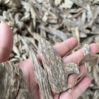 Trầm kiến_Miếng giác trầm hương thiên nhiên xông đốt thưởng trầm làm bột nhang