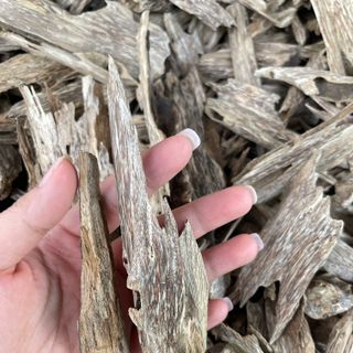 Trầm kiến_Miếng giác trầm hương thiên nhiên xông đốt thưởng trầm làm bột nhang