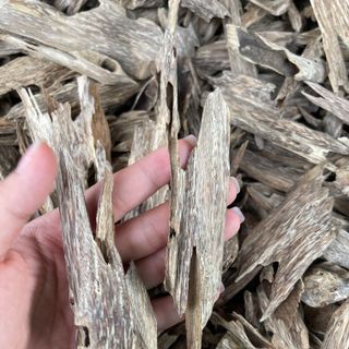 Trầm kiến_Miếng giác trầm hương thiên nhiên xông đốt thưởng trầm làm bột nhang