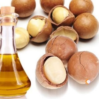 Dầu Macca giá sỉ tốt tại Buôn Ma Thuột