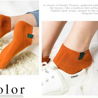 Set vớ 5 đôi màu sáng hàng đẹp sẳn sll