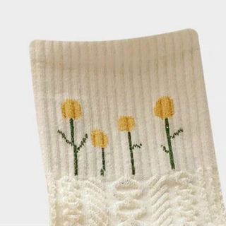 Set vớ 5 đôi hàng đẹp hình hoa cỏ dễ thương giá tốt hàng sẳn sll