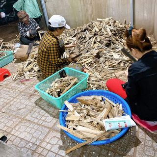 Nhang Trầm Bắc 30cm