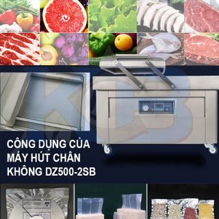 Máy hút chân không công nghiệp 2 buồng DZ500-2SB