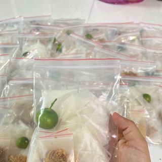 Bánh Tráng Phơi Sương Muối Nhuyễn
