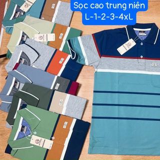 [LOẠI ĐẸP] Áo Polo nam, áo nam tay ngắn Phối Màu, thêu tay đẹp xuất sắc