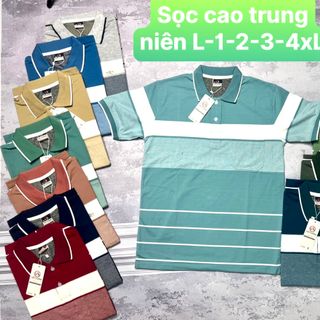 [LOẠI ĐẸP] Áo Polo nam, áo nam tay ngắn Phối Màu, thêu tay đẹp xuất sắc