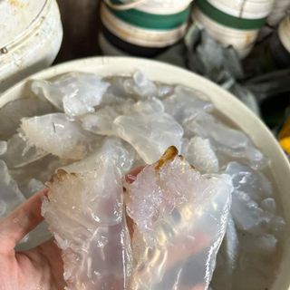 Sứa biển ăn liền Nghệ An, túi 1kg (cả nước cả thân sứa 1,2-1,3kg)