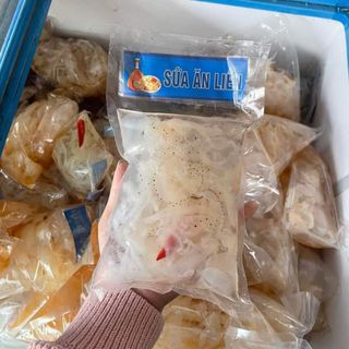 Sứa biển ăn liền Nghệ An, túi 1kg (cả nước cả thân sứa 1,2-1,3kg)
