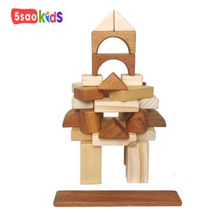 BỘ XẾP HÌNH KHỐI 31 MIẾNG BẰNG GỖ-5saokids