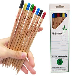 Bút chì hạt giống (Pencil Plants) giá sỉ